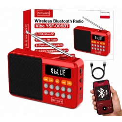 YSF-005BT Преносимо радио с Bluetooth колонка, FM радио, USB, TF карта и AUX