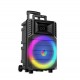 ZQS12132 Портативна Караоке 12'' Sing-e 60W тонколона+2 безжични микрофона