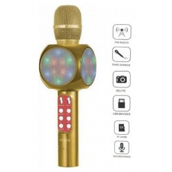 WS-1816 Караоке микрофон светещ с вграден говорител - Златист