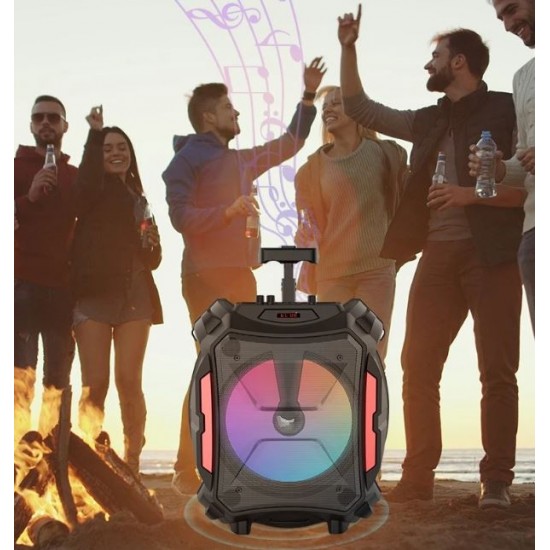 ZQS12110 Портативна Караоке 30W 12'' тонколона Sing-e+жичен микрофон