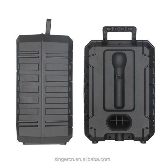 ZQS12158 Подвижна Караоке 12'' Sing-e 40W тонколона+ безжичен микрофон