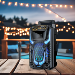 Караоке тонколона инча TTD-8259 8" | 20W, Телескопична Дръжка, LED RGB, Микрофон