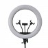 LJJ-36 Ring Light 36cm