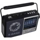 Golon FR-182U Преносимо радио с висока чувствителност, AM/FM/SW, USB, TF и LED фенер