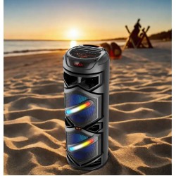 Караоке тонколона инча CH-8500 8.5"x2 | 40W, LED RGB, Микрофон