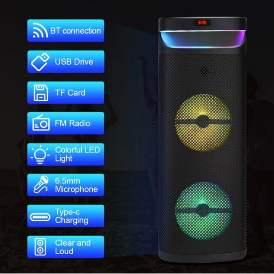 Караоке тонколона инча CH-1021 10"x2 | 40W, LED RGB, Микрофон