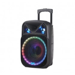 NDR-W1315 15" Безжична колона говорител субуфер 