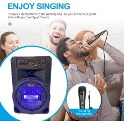 Портативна Караоке тонколона 8' инча ТТD-8245 с жичен микрофон