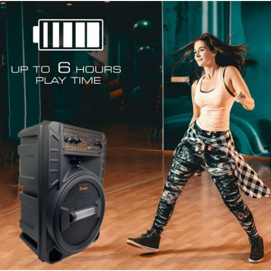 Портативна Караоке тонколона 8' инча ТТD-8245 с жичен микрофон