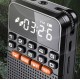 Rolton T1 Преносимо FM радио с Bluetooth, MP3 плейър, LED дисплей, фенерче и USB зареждане