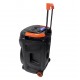 TTD-8804 60W 4x8"  Безжична колона+2 Безжични микрофона