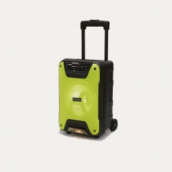 Караоке тонколона инча TTD-8257 8" | 10W, Телескопична Дръжка, LED RGB, Микрофон