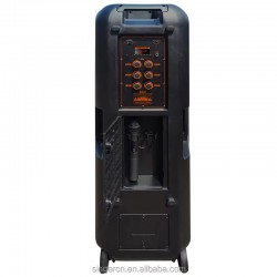 ZQS15201 Мощна Bluetooth Караоке Тонколона Sing-e , 100W, 2 x 15", RGB LED, TWS, FM, USB, TF, 2 Безжични Микрофона
