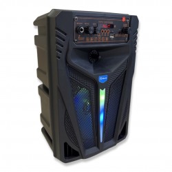 Портативна Караоке тонколона 8' инча ТТD-8246 с жичен микрофон