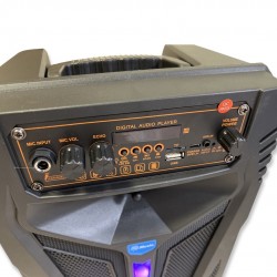 Портативна Караоке тонколона 8' инча ТТD-8246 с жичен микрофон