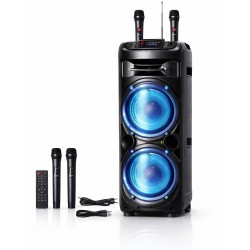 TTD-1222 12" 1000W Безжична колона говорител субуфер+ 2 безжични микрофони