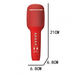 WSTER WS-900 Безжичен Микрофон с Блутут и мощни тонколони - Черен