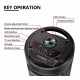 ZQS6220 Портативна Двойна Караоке 2x6.5'' 10Wx2 Sing-e тонколона+жичен микрофон 300mAh