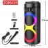 ZQS6220 Портативна Двойна Караоке 2x6.5'' 10Wx2 Sing-e тонколона+жичен микрофон 300mAh